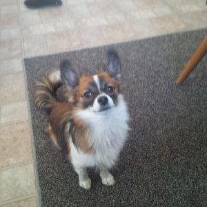 Meet your Posher, Catherine